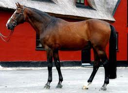 Quidam de Revel  Standbild